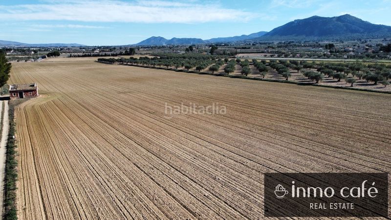 Foto db1c7d9e-4e82-4e71-adc9-70042cb55941. Finca rústica en Las Tiesas Villena