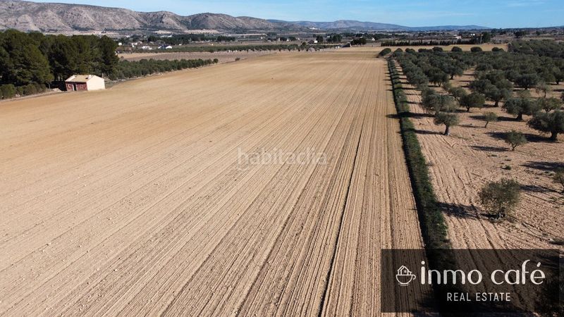 Foto e2ff0172-0c00-4bd1-968f-3e76049aa197. Finca rústica en Las Tiesas Villena