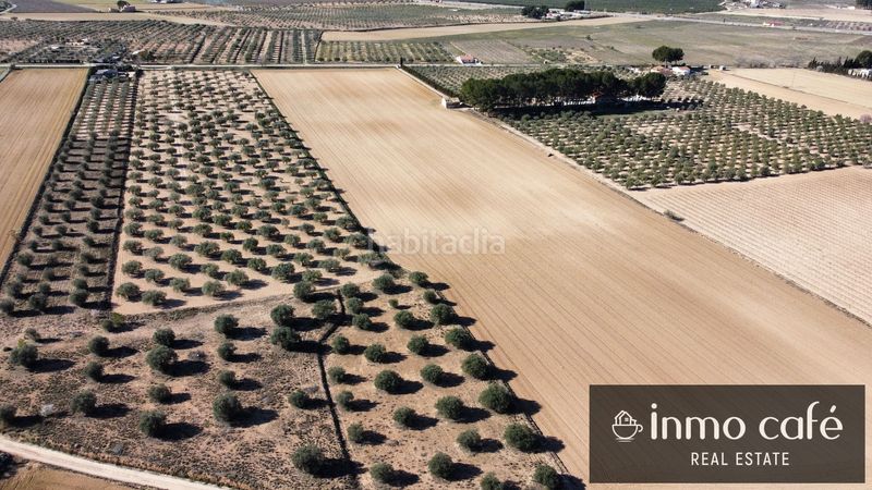 Foto e79fcdc6-623b-4afb-8772-04a243818fdc. Finca rústica en Las Tiesas Villena