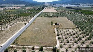 Finca rústica a Polígono  Parcelas  y  - EL TOLL