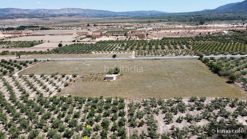 Foto ed5d4d94-a15f-411c-b82f-b8d9f89a4796. Finca rústica a Biar