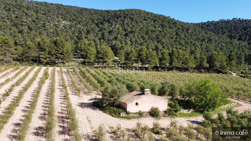 Foto 4e4a272c-94a9-47e5-87de-93c47bb61b6b. Casa amb calefacció a Fontanars dels Alforins