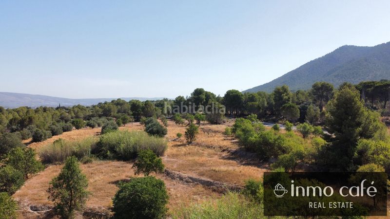 Foto 0d63e786-d77a-48dd-b777-c4bb0d7d2005. Finca rústica en Biar
