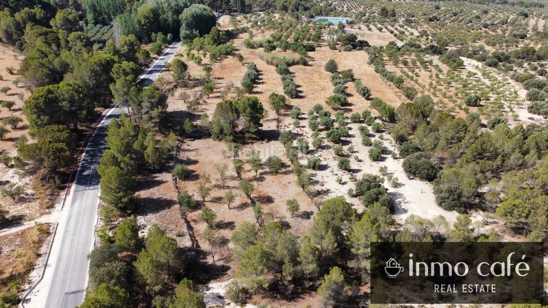 Foto 0ec11b1d-68f9-43b8-b957-0b418074a242. Finca rústica en Biar