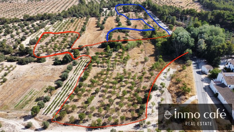 Foto d4b647a4-1535-40c9-90ce-f78677d006dc. Finca rústica a Biar