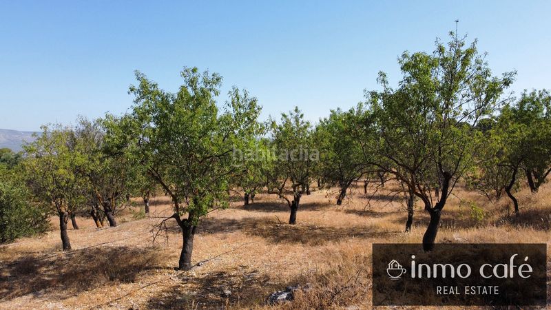 Foto f8b64179-6d0d-44ad-b42c-e34fb2a060cc. Finca rústica a Biar