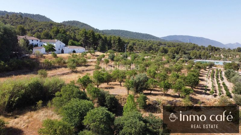 Foto fe955f10-0c67-456e-ab92-10ccd5ca9a35. Finca rústica a Biar