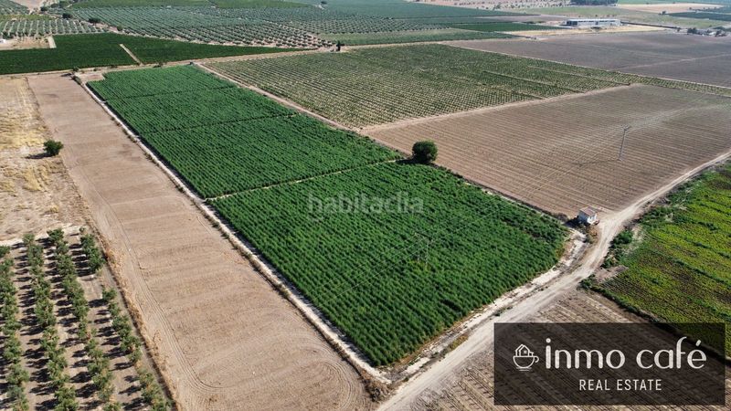 Foto 07856d25-2b94-4bed-8137-f67ae72c360b. Finca rústica a Cabanes y Las Fuentes Villena