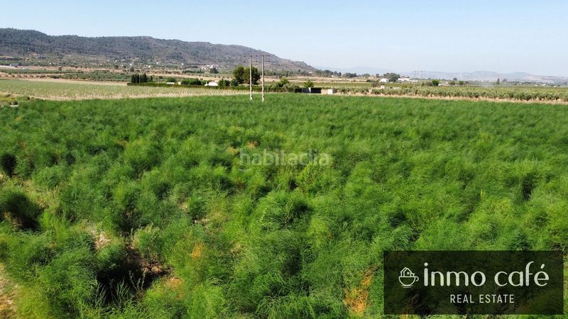 Foto 2715d33d-f7be-4ac8-949c-25c93f13d748. Finca rústica a Cabanes y Las Fuentes Villena