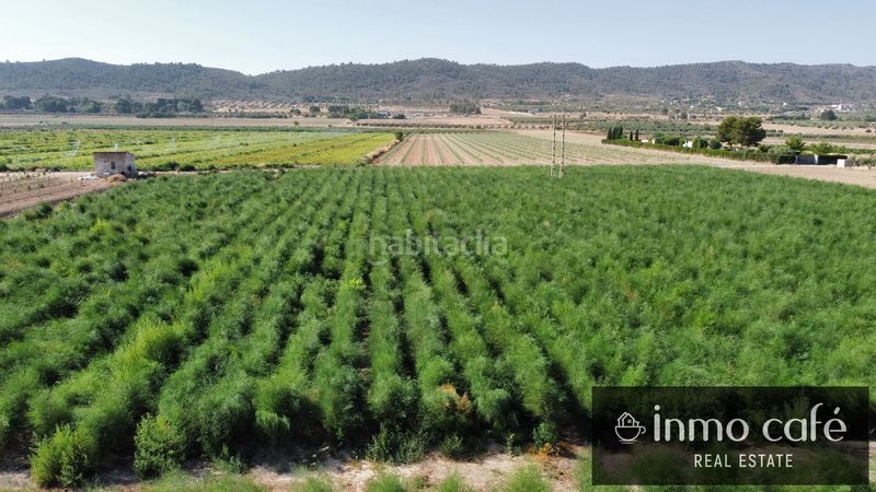 Foto 4f49b7cd-a0e8-4ab0-a84d-3914b4576e68. Finca rústica a Cabanes y Las Fuentes Villena