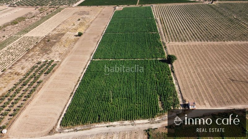 Foto 5e9a804b-1989-4e87-a2b6-bdd8aaba1242. Finca rústica a Cabanes y Las Fuentes Villena