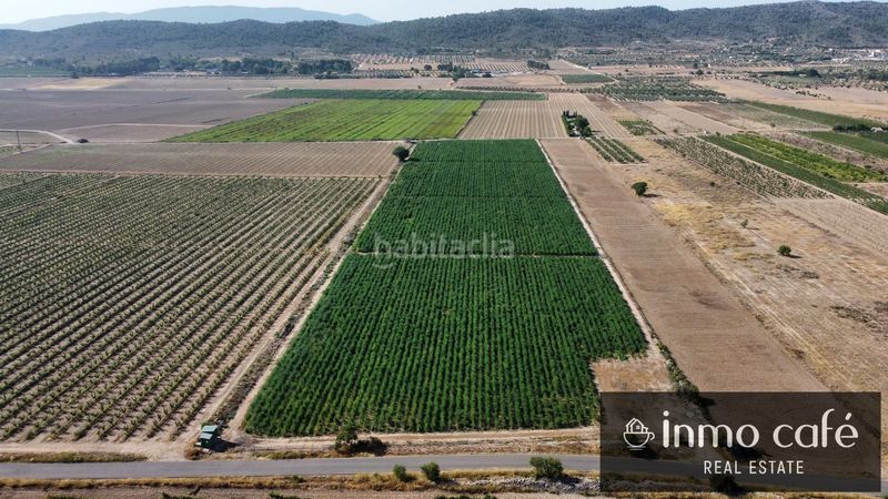 Foto 67d4a03f-c91f-447b-943d-3257bd83e282. Finca rústica a Cabanes y Las Fuentes Villena