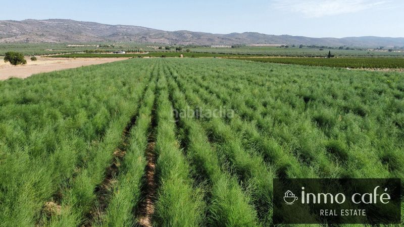 Foto 8e246ccd-0440-4721-a26a-2a59938356dd. Finca rústica a Cabanes y Las Fuentes Villena