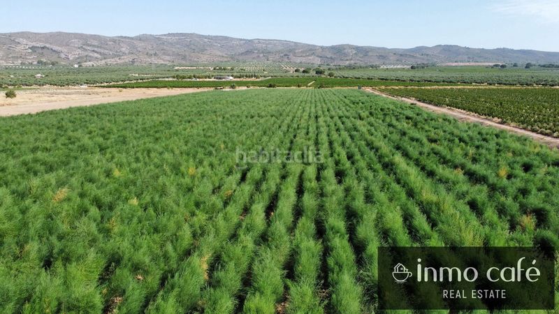 Foto 9f949828-5292-44af-a994-d114893807b1. Finca rústica a Cabanes y Las Fuentes Villena