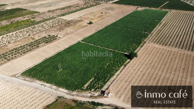 Foto a519ef20-b43c-4f47-8220-95d6187d1796. Finca rústica a Cabanes y Las Fuentes Villena