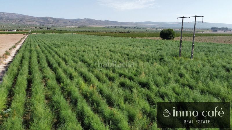 Foto b0e44cf1-d3cf-4d0b-995b-53907a4d53d9. Finca rústica a Cabanes y Las Fuentes Villena