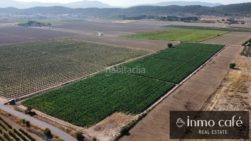 Foto b3b30f23-9668-4b63-ac86-0c9564ad785f. Finca rústica a Cabanes y Las Fuentes Villena