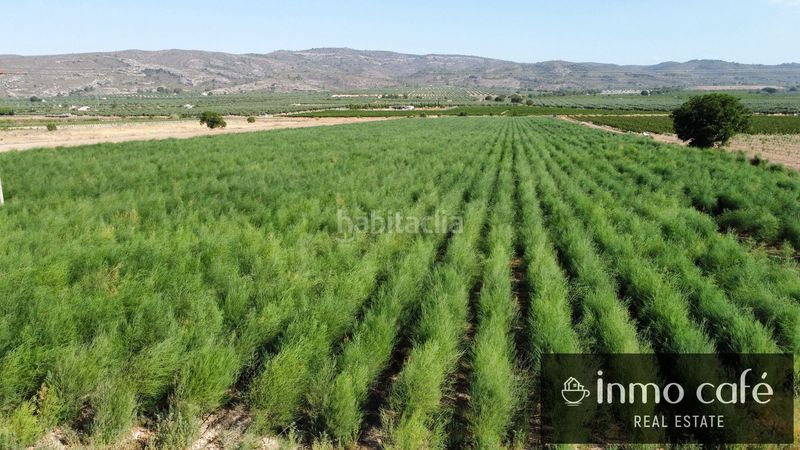 Foto bdddc517-f88d-41e2-b62b-4175c503fece. Finca rústica a Cabanes y Las Fuentes Villena