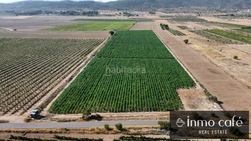 Foto be472319-c719-4441-b9ac-433111a8b0b3. Finca rústica a Cabanes y Las Fuentes Villena