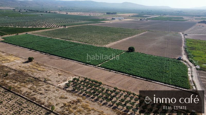 Foto ec54dd9b-a24e-4a88-961f-596b739dfc34. Finca rústica a Cabanes y Las Fuentes Villena