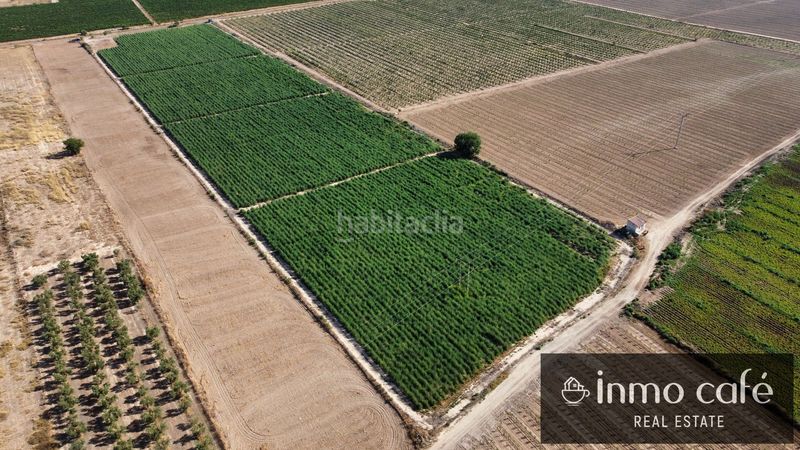 Foto f55c12ca-57d0-43d1-8c3e-682b46757aed. Finca rústica a Cabanes y Las Fuentes Villena