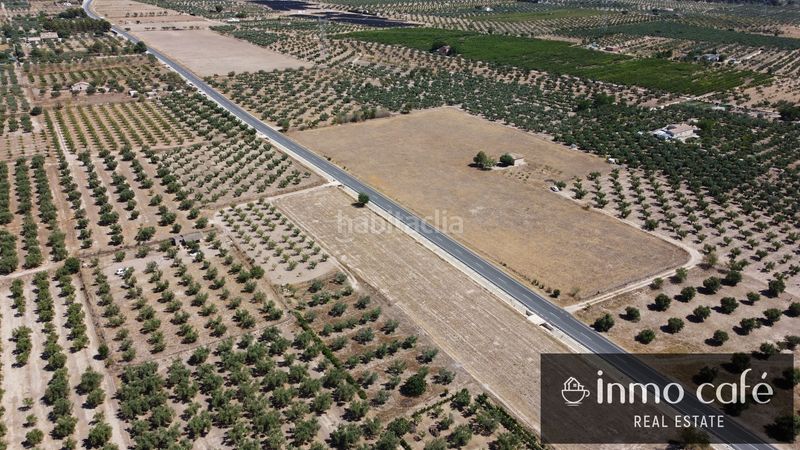 Foto fa8034b2-da1f-49bf-8e3e-25fd8ac146a7. Finca rústica a Biar
