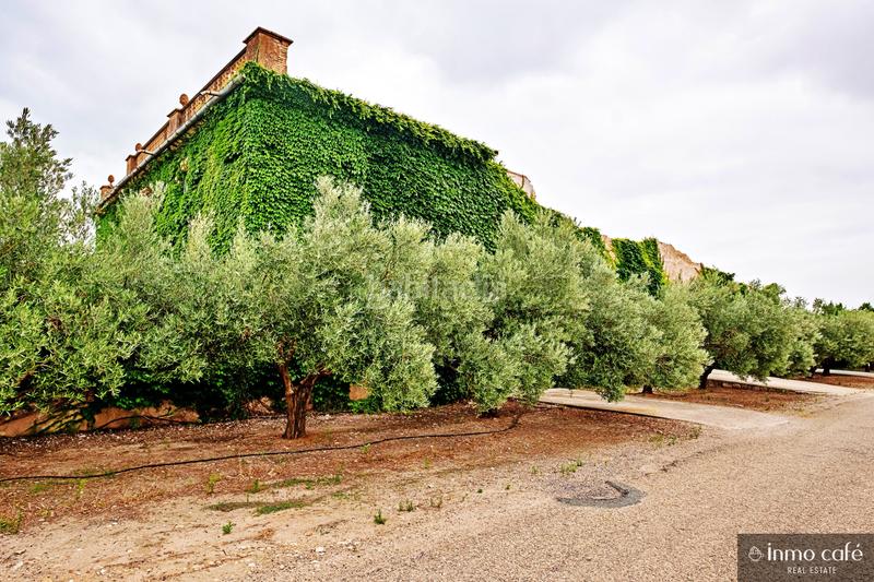 Foto b7dece0a-cb2d-49df-8eee-72a2de03e721. Casa in Biar