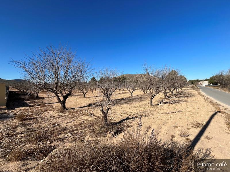 Foto 5953bca4-8763-490d-ac9e-b571044f50b9. Fondo rustico in Las Virtudes Villena