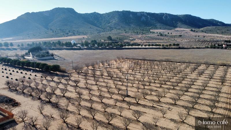 Foto 597def9a-7e50-4a19-8306-af0554adbdd5. Fondo rustico in Las Virtudes Villena