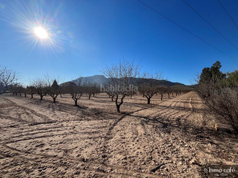 Foto d9d3781b-1ac1-451e-bf6c-837739c30324. Propriété dans Las Virtudes Villena
