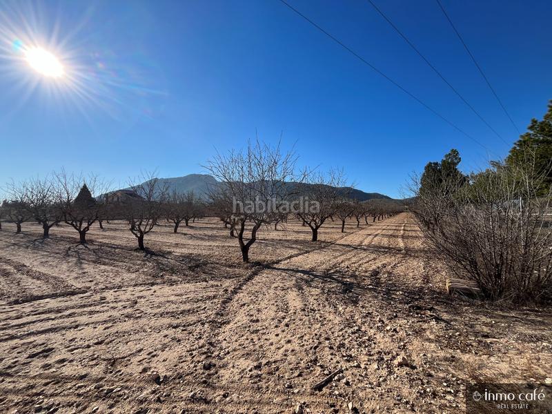 Foto cdd38461-f370-4cba-83c2-f127b2062d59. Finca rústica a Las Virtudes Villena