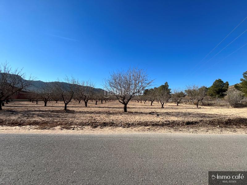 Foto 373fddd9-dbf5-4d5e-9c31-4b5b92407165. Finca rústica en Las Virtudes Villena
