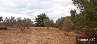 Finca rústica  Ptda la marina