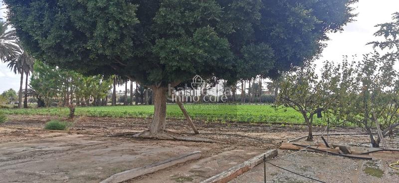 Foto 5b683ba4-e3be-44bd-a874-ca9f29a8adf4. Casa a La Foia - Daimés - Asprella Elche / Elx