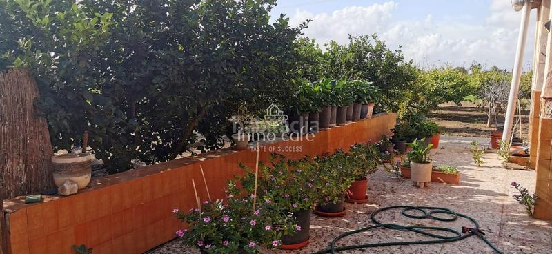 Foto 2dcb3452-c1b5-426b-8b6d-4aafe6634413. Haus in La Foia - Daimés - Asprella Elche / Elx