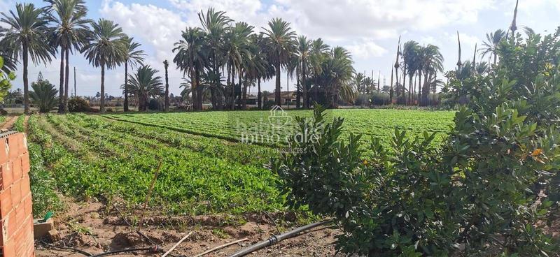 Foto 4307bc33-af6b-4ac4-bea0-642f3c711ef8. Maison dans La Foia - Daimés - Asprella Elche / Elx