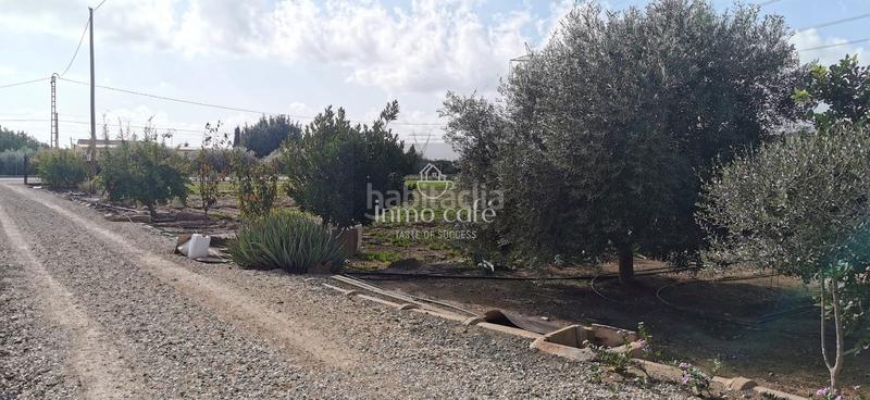 Foto 765cf46a-a66b-4838-b984-f3251a6f3c2a. Maison dans La Foia - Daimés - Asprella Elche / Elx