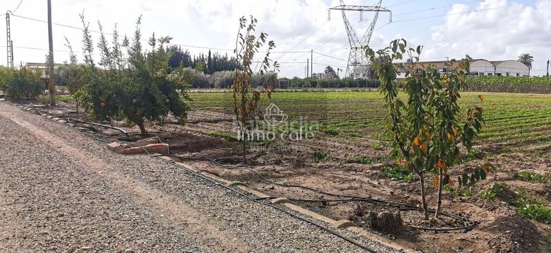 Foto aa115307-88ce-45ed-8a10-e0f85f5e4d5c. Maison dans La Foia - Daimés - Asprella Elche / Elx