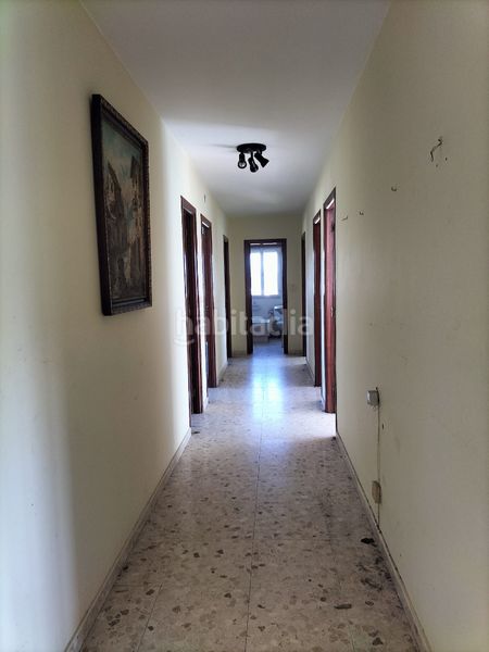 Foto 73bf089a-6a61-490b-8e14-eff939fa41e7. Pis a Carreira Ribeira