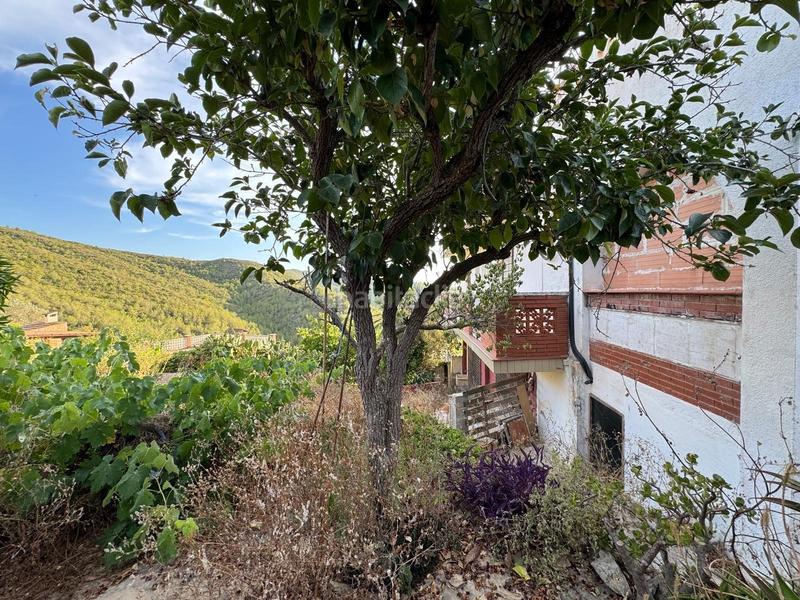 Foto 6e8ca6ba-02e0-4b2e-ad29-decdcaa9fd01. Chalet con piscina in Bisbal del Penedès (La)