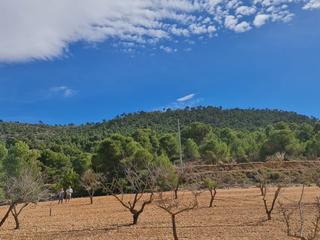 Terrain résidentiel à Pinoso. Presentamos una excelente oportunidad de poseer un pedazo de tra