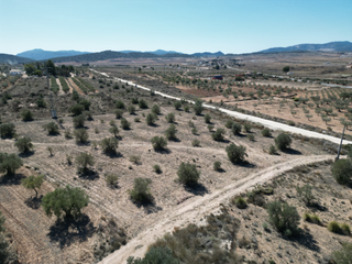Terrain résidentiel à Pinoso. Bienvenido a una tentadora oportunidad en el campo! este terreno