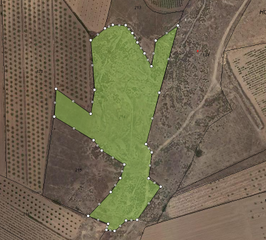 Terrain résidentiel à Pinoso. Si te ha gustado esta propiedad no dudes en contactar con nosotr