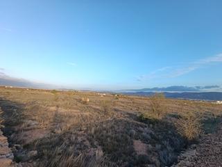 Terrain résidentiel à Pinoso. Espaciosa parcela de 18.589 m a tan solo 10 minutos de pinoso, q