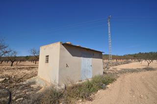 Terreny residencial a Monòver. Esta parcela de 12.836 m es una gran opción para quienes buscan