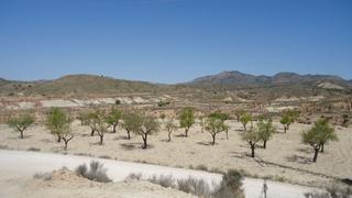 Terreny residencial a Abanilla. Amplia parcela edificable de 8.424 m en el tollé, abanilla, con