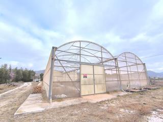 Nau industrial a Pedanías Oeste. Centro de jardinería cerca de aspe via stratus international esp