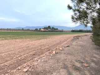 Residential Plot in Yecla. Buscas inversión agrícola? te ofrecemos esta parcela de 19.065 m