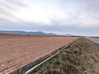 Residential Plot in Yecla. Busca una inversión agrícola? le ofrecemos esta parcela de más d