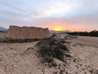 Residential Plot in Yecla. Presentamos una parcela de 37.000 m de terreno fértil con restos